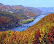 林口天气预报7天