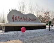 绥化天气预报7天