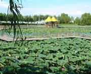 德惠天气预报10天