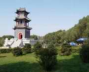 榆树天气预报7天