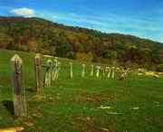 临江天气预报10天