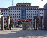 无极天气预报40天