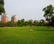 大宁天气预报7天