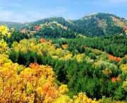 蒲县天气预报7天