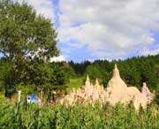 石楼天气预报7天