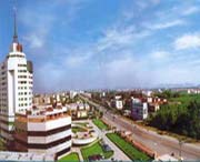 泗水天气预报40天