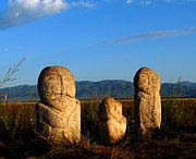 昭苏天气预报7天