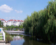 裕民天气预报7天