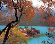 林芝天气预报10天