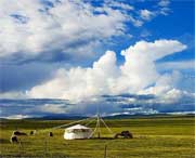 清水河后天天气