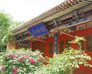 陇西天气预报7天