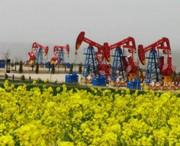 西峰天气预报7天