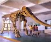 合水天气预报7天