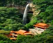 桐柏天气预报7天