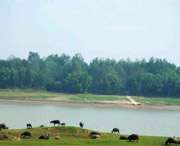 枞阳天气预报7天