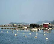 连江天气预报40天