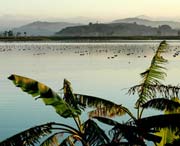 柘荣天气预报60天