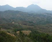 大田天气预报7天