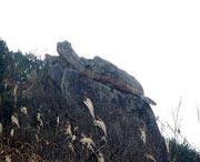 松溪天气预报7天