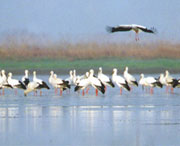 新建天气预报40天
