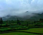 台江天气预报40天