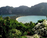 新津天气预报15天