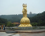 遂宁天气预报7天