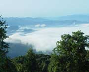 屏山天气预报7天