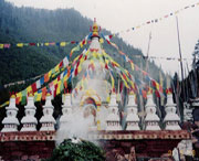 金川天气预报7天