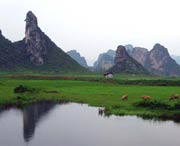 清城天气预报7天