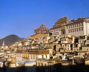 迪庆天气预报7天