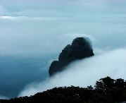 金秀天气预报7天