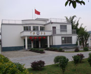 恭城天气预报10天